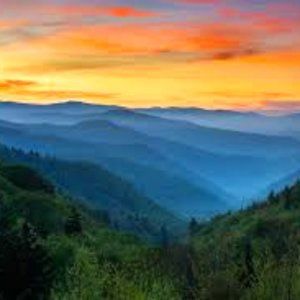 Meet your Posher, Shelly